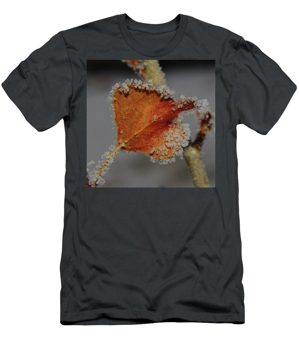 Leaves T-Shirt featuring the photograph A Frosted Leaf by Jeff Swan