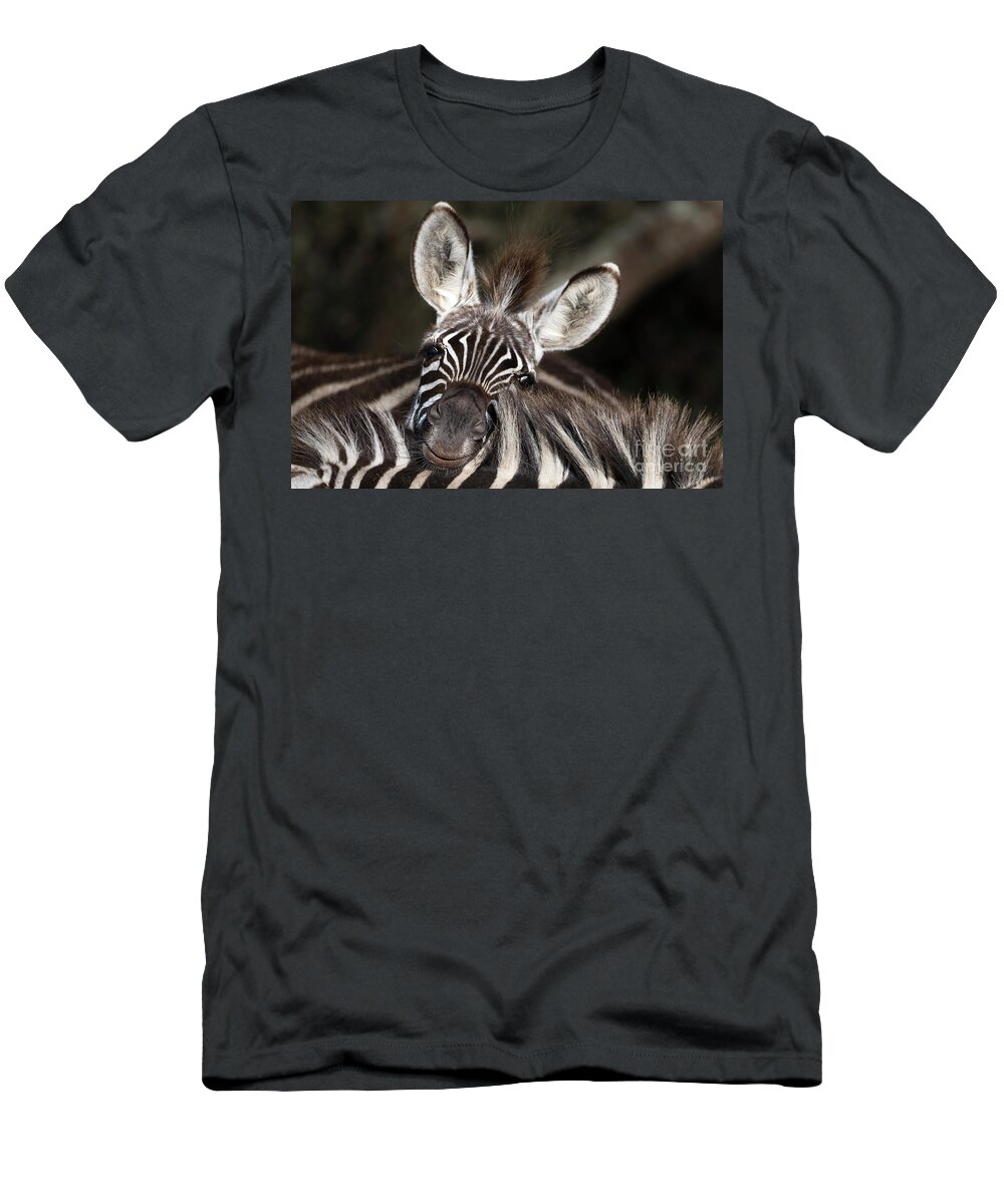 Zebras T-Shirt featuring the photograph A funny zebra in Ngorongoro Crater by RicardMN Photography