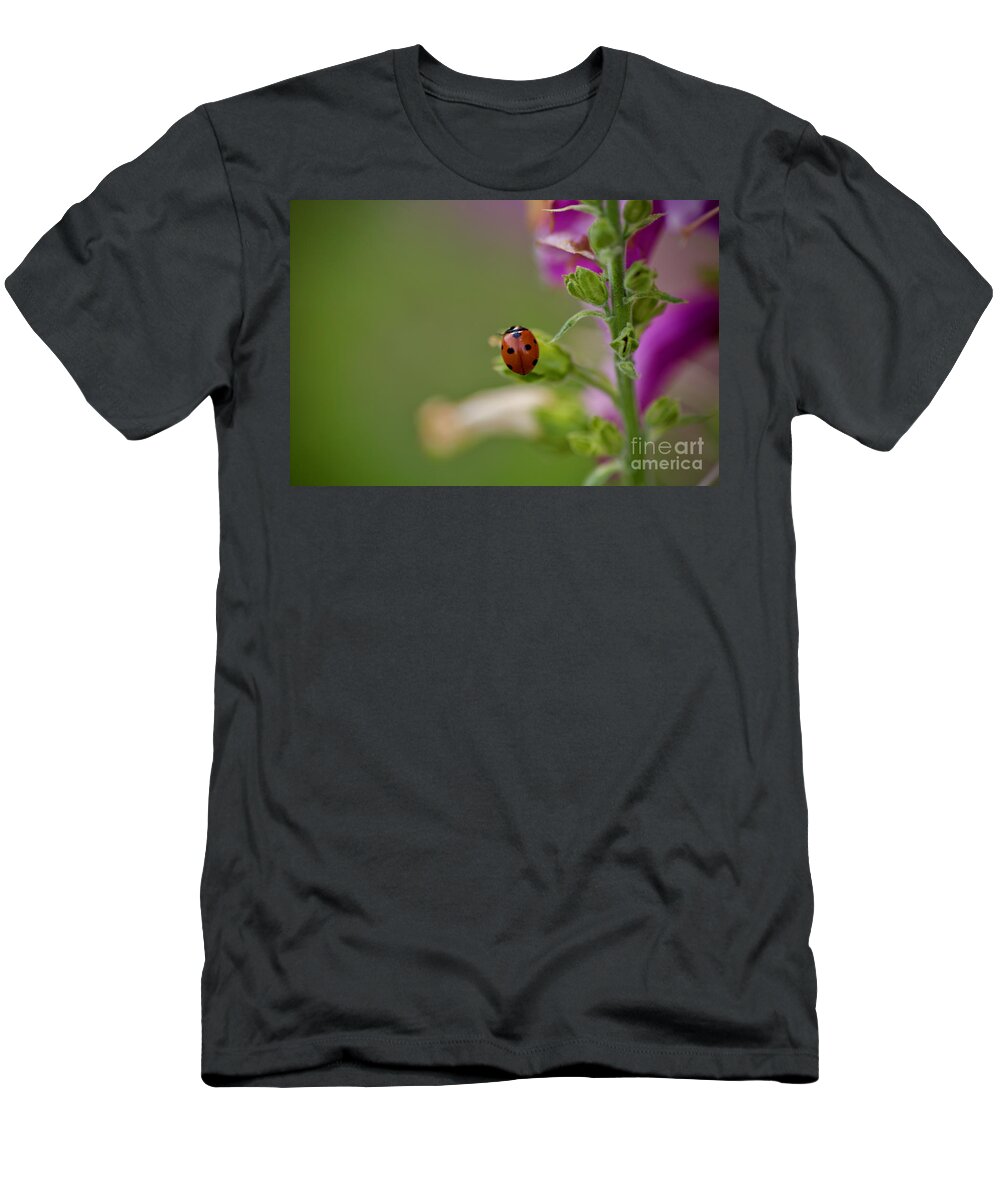 Ladybug T-Shirt featuring the photograph A Garden Guest by Lara Morrison