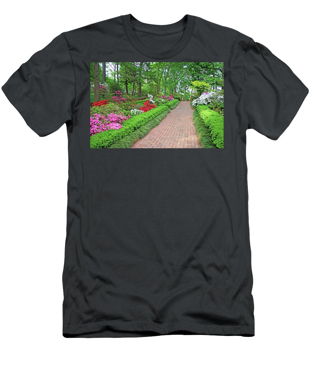 A T-Shirt featuring the photograph A Garden Path by Cora Wandel