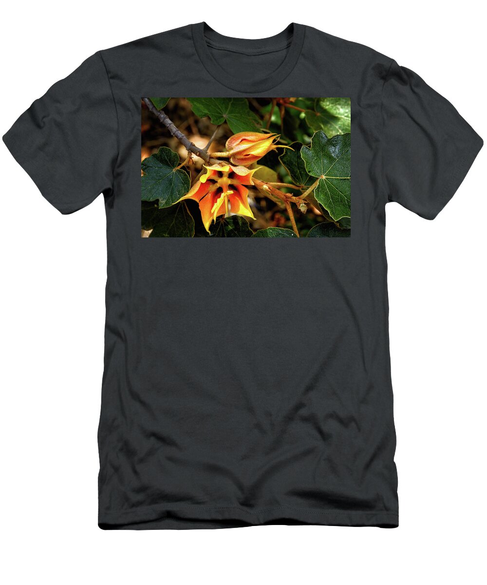 Plant T-Shirt featuring the photograph A Glimpse Of Glory by Camille Lopez