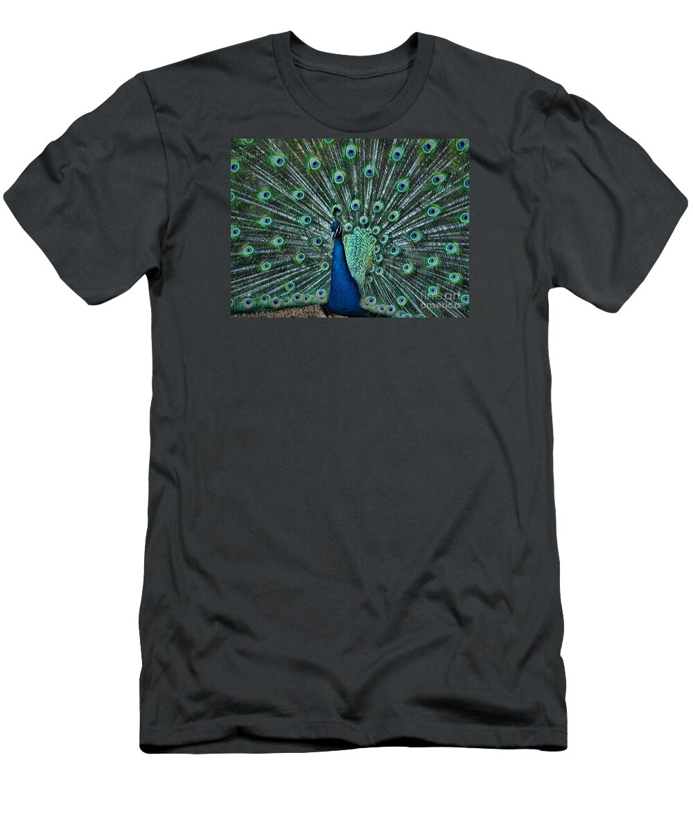 Peacock T-Shirt featuring the photograph A Glory to the Eyes by Brenda Kean