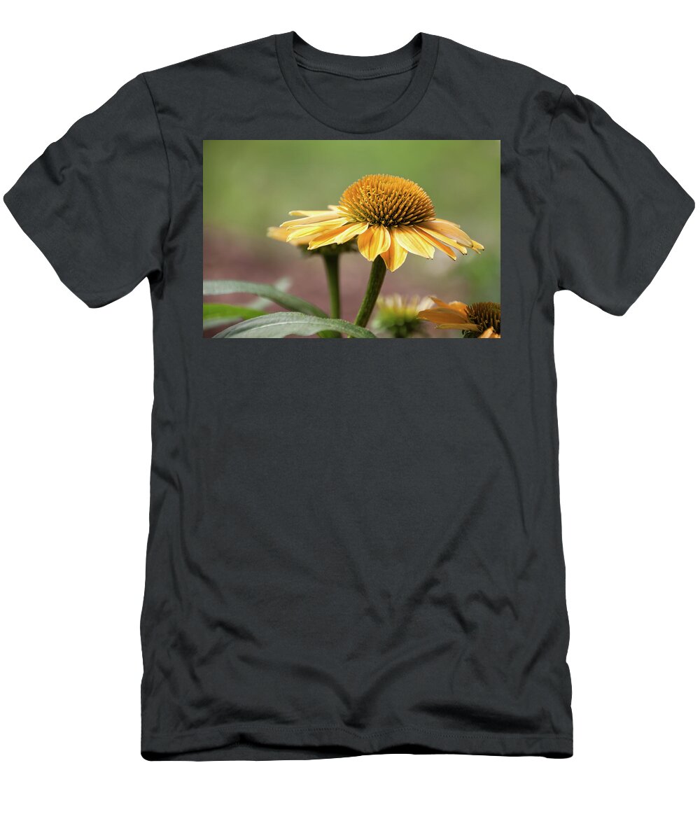 Golden Echinacea T-Shirt featuring the photograph A Golden Echinacea - by Julie Weber