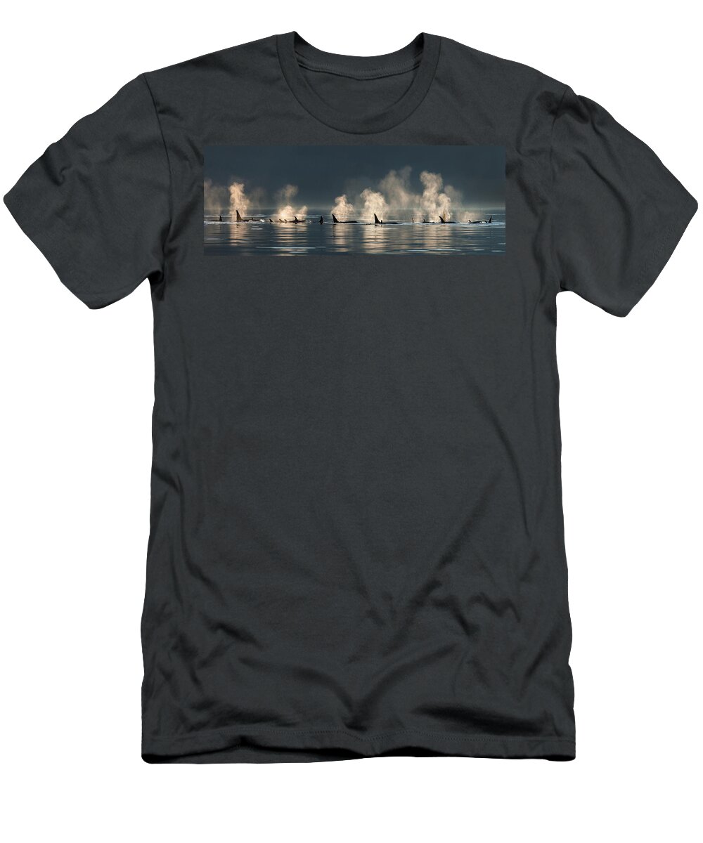 Southeast Alaska T-Shirt featuring the photograph A Group Of Orca Killer Whales Come by John Hyde
