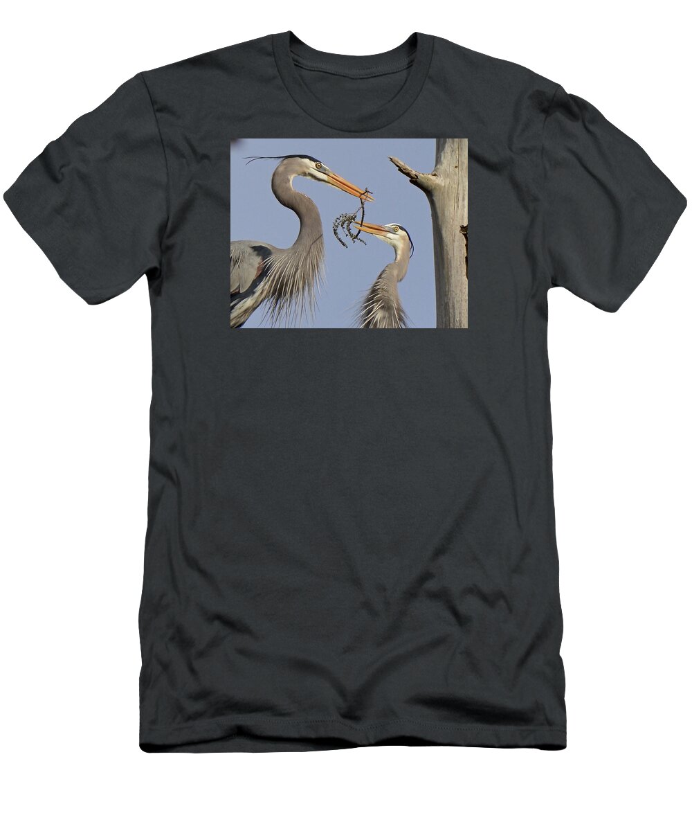 Bird. Heron T-Shirt featuring the photograph A Little Something For The Nest by Carol Bradley