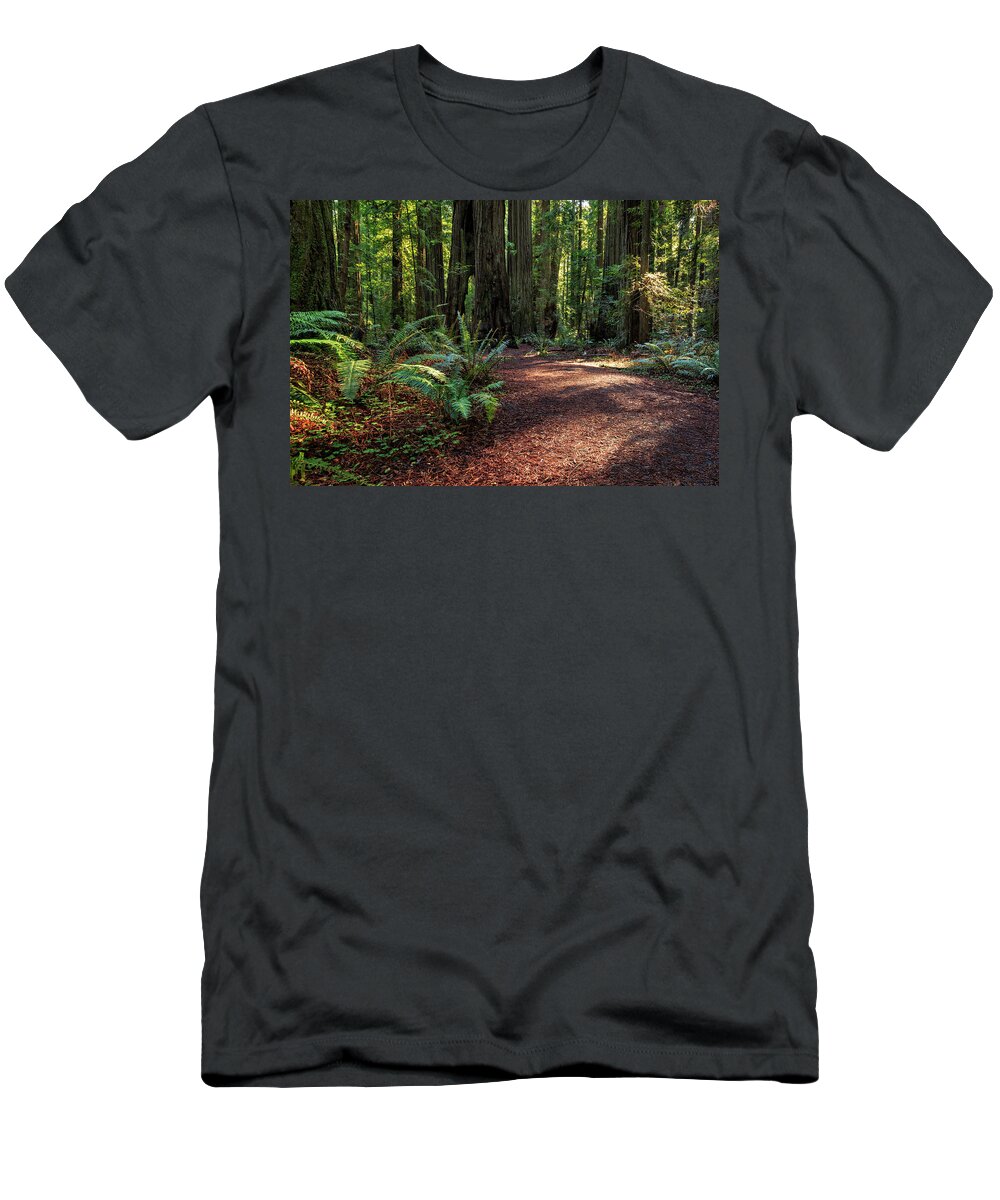 Redwoods T-Shirt featuring the photograph A Path In The Redwoods by James Eddy