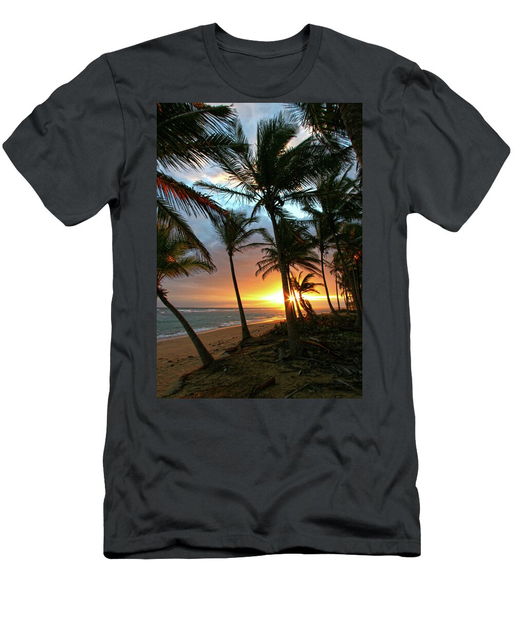 Palms T-Shirt featuring the photograph A Place I Know by Robert Och