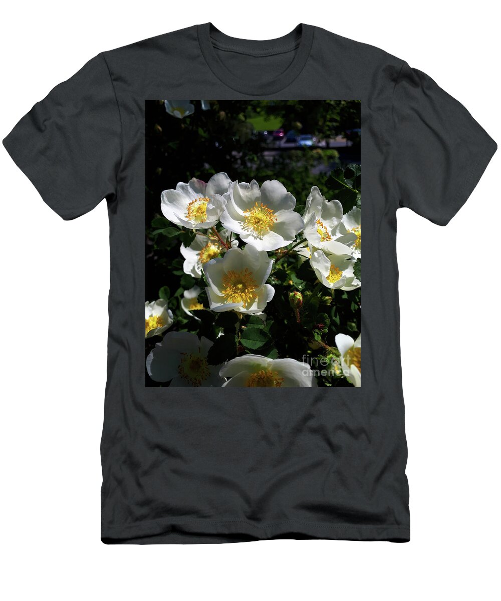White T-Shirt featuring the photograph A short life but a merry one by Brenda Kean