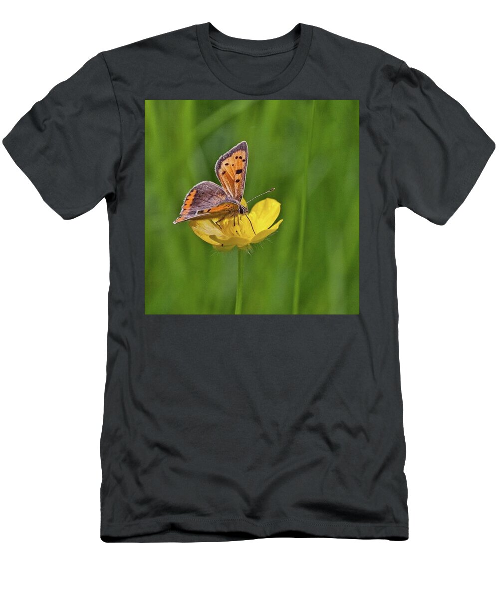 Insect T-Shirt featuring the photograph A Small Copper Butterfly (lycaena by John Edwards