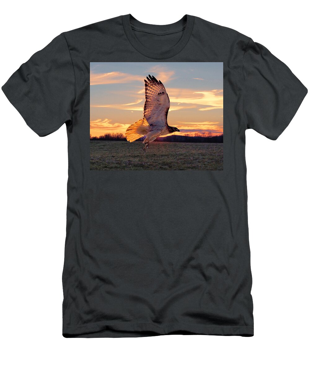  Red Tail Hawk T-Shirt featuring the photograph A Sunset Flight by M Three Photos