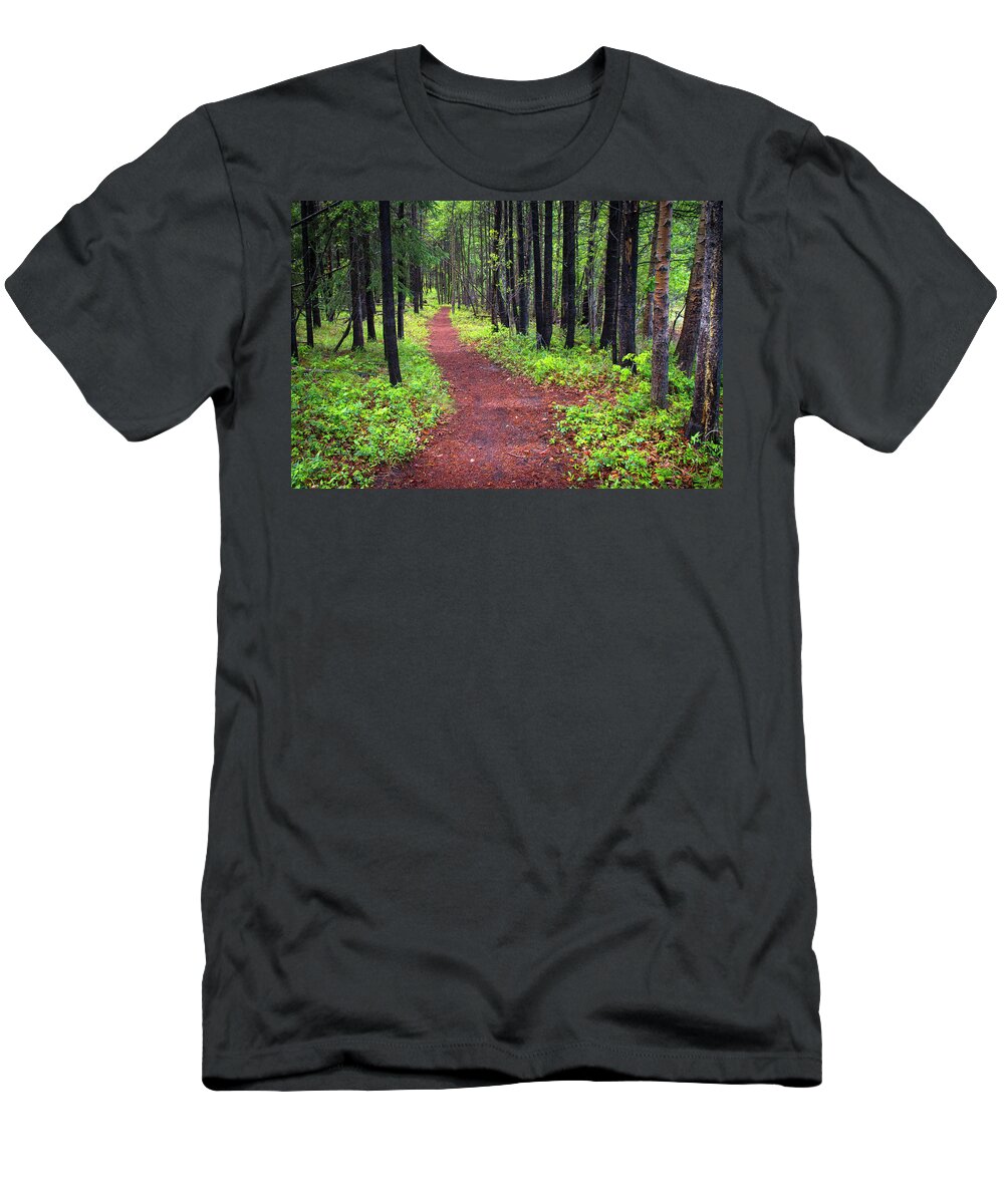Forest T-Shirt featuring the photograph A walk in the Forest by Bill Cubitt