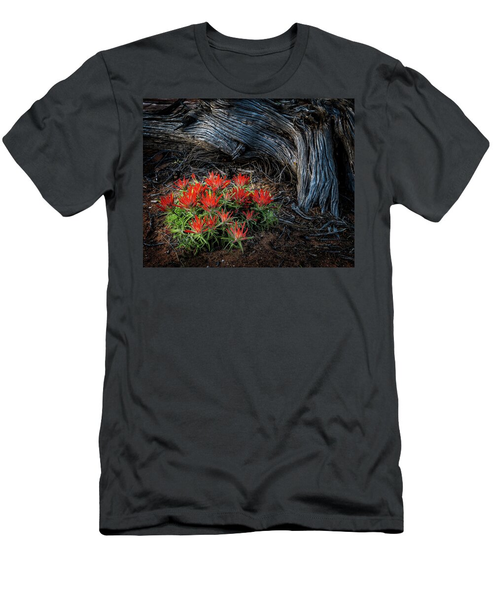 Flowers T-Shirt featuring the photograph A Wild Bouquet by Michael Ash