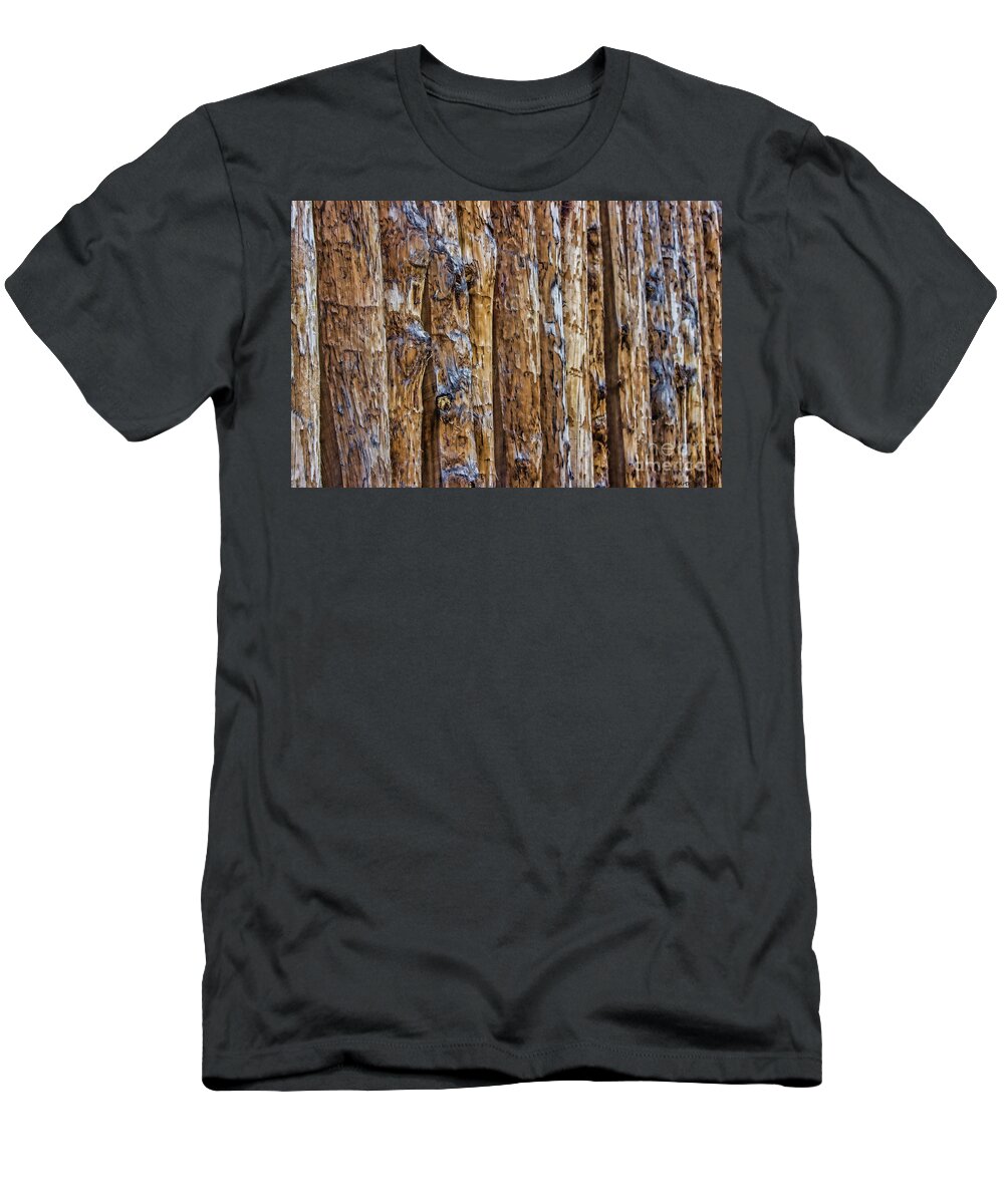 Posts T-Shirt featuring the photograph Abstract Posts by Roberta Byram