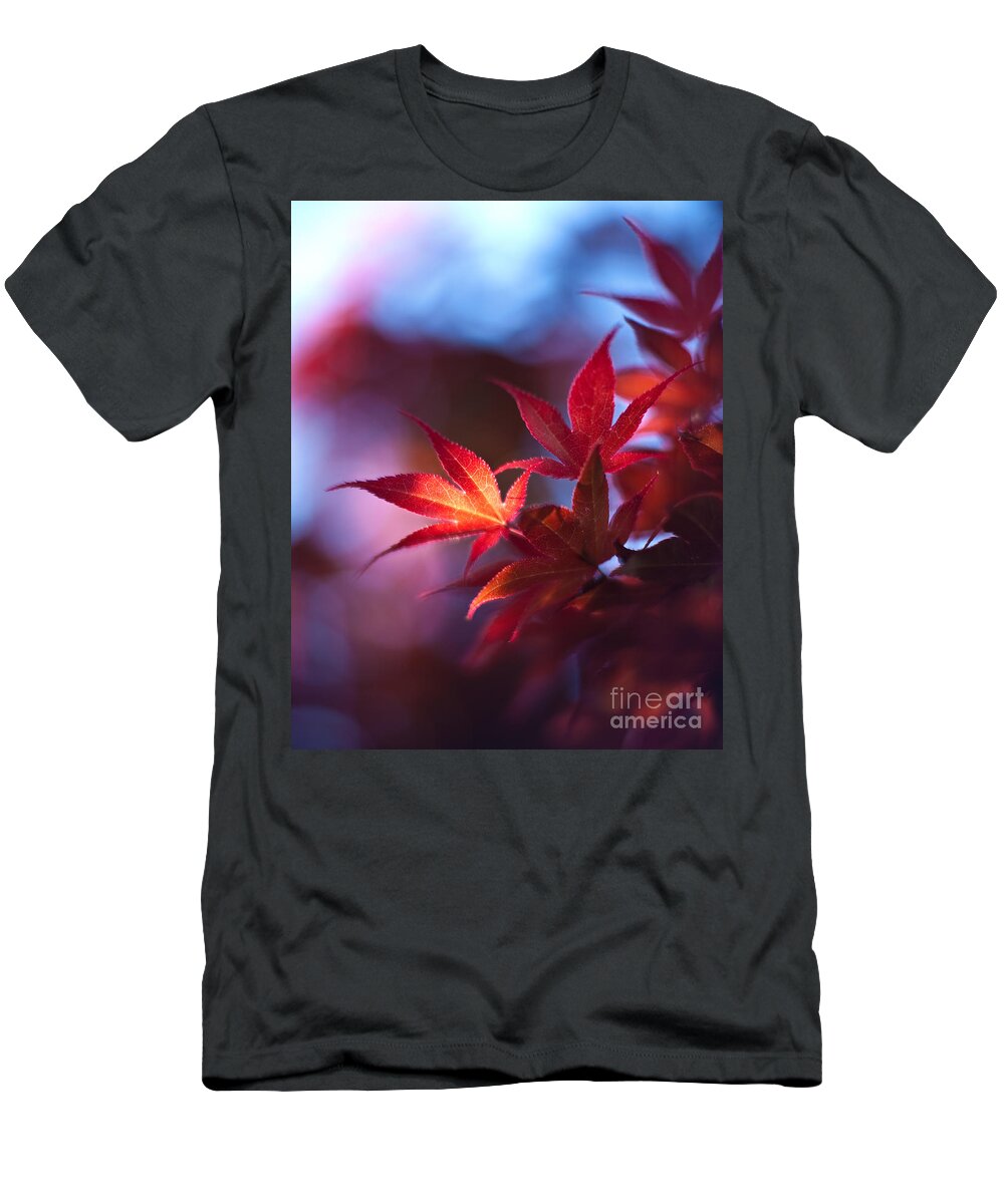 Maple Leaves T-Shirt featuring the photograph Acer Kaleidoscope by Mike Reid
