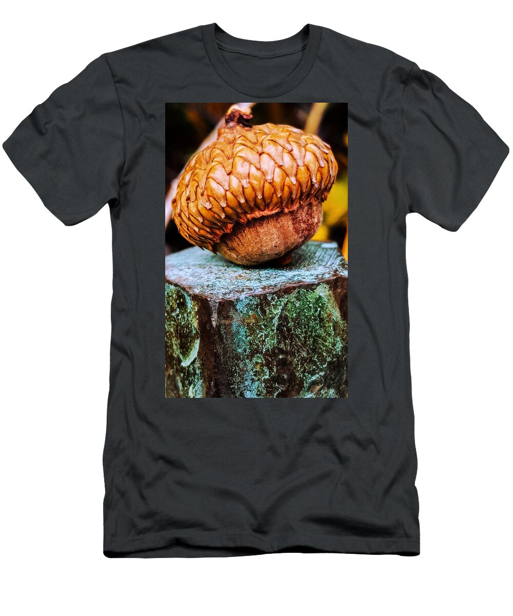 Acorn T-Shirt featuring the photograph Acorn by Bruce Carpenter