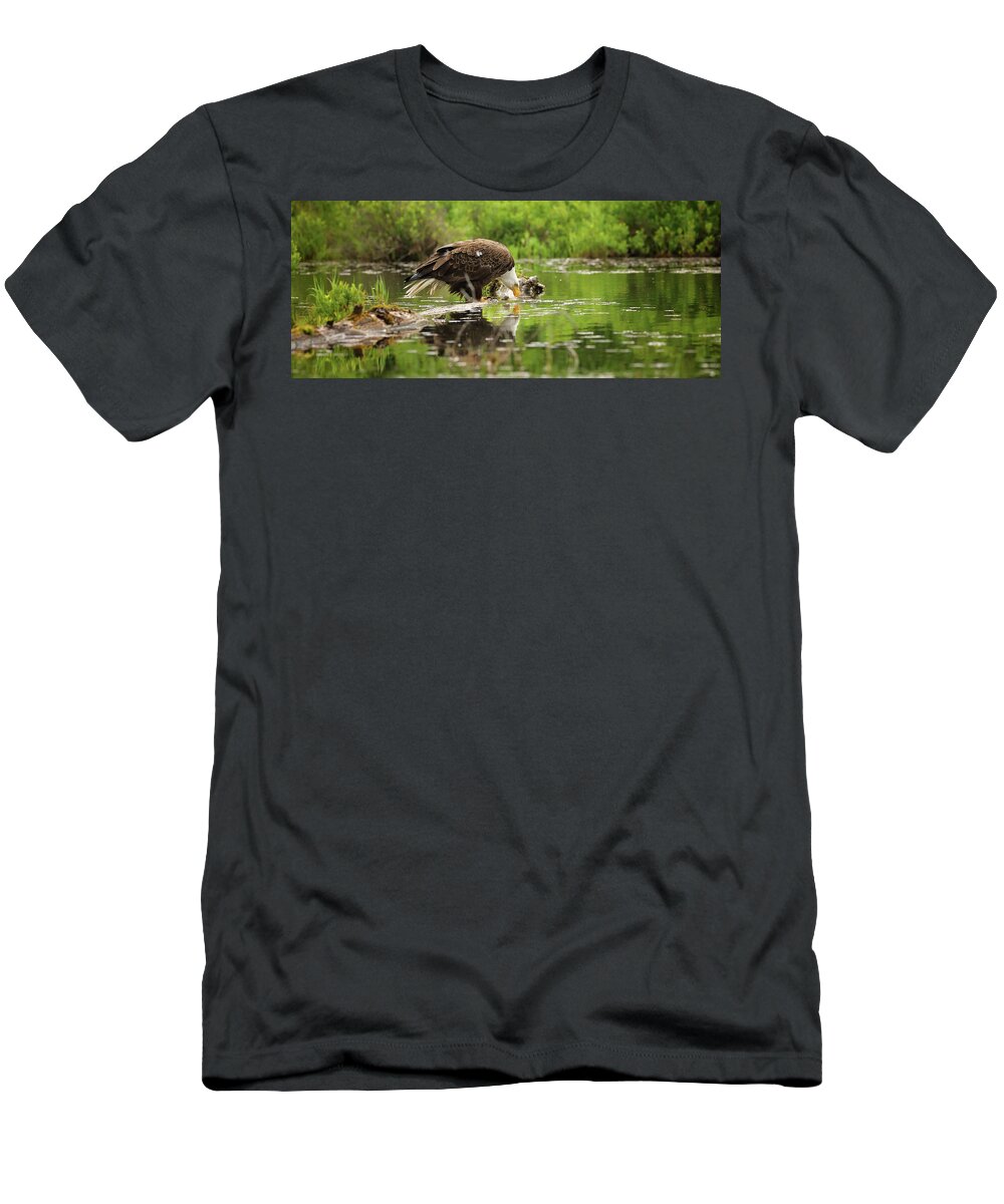 Eagle T-Shirt featuring the photograph Admiring His Reflection by Duane Cross