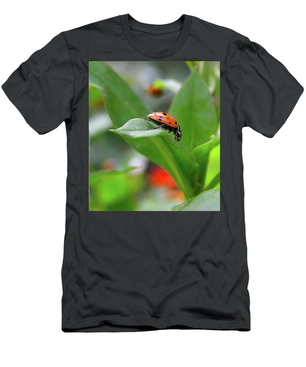 Ladybug T-Shirt featuring the photograph Adventuresome Ladybug by Carol Milisen