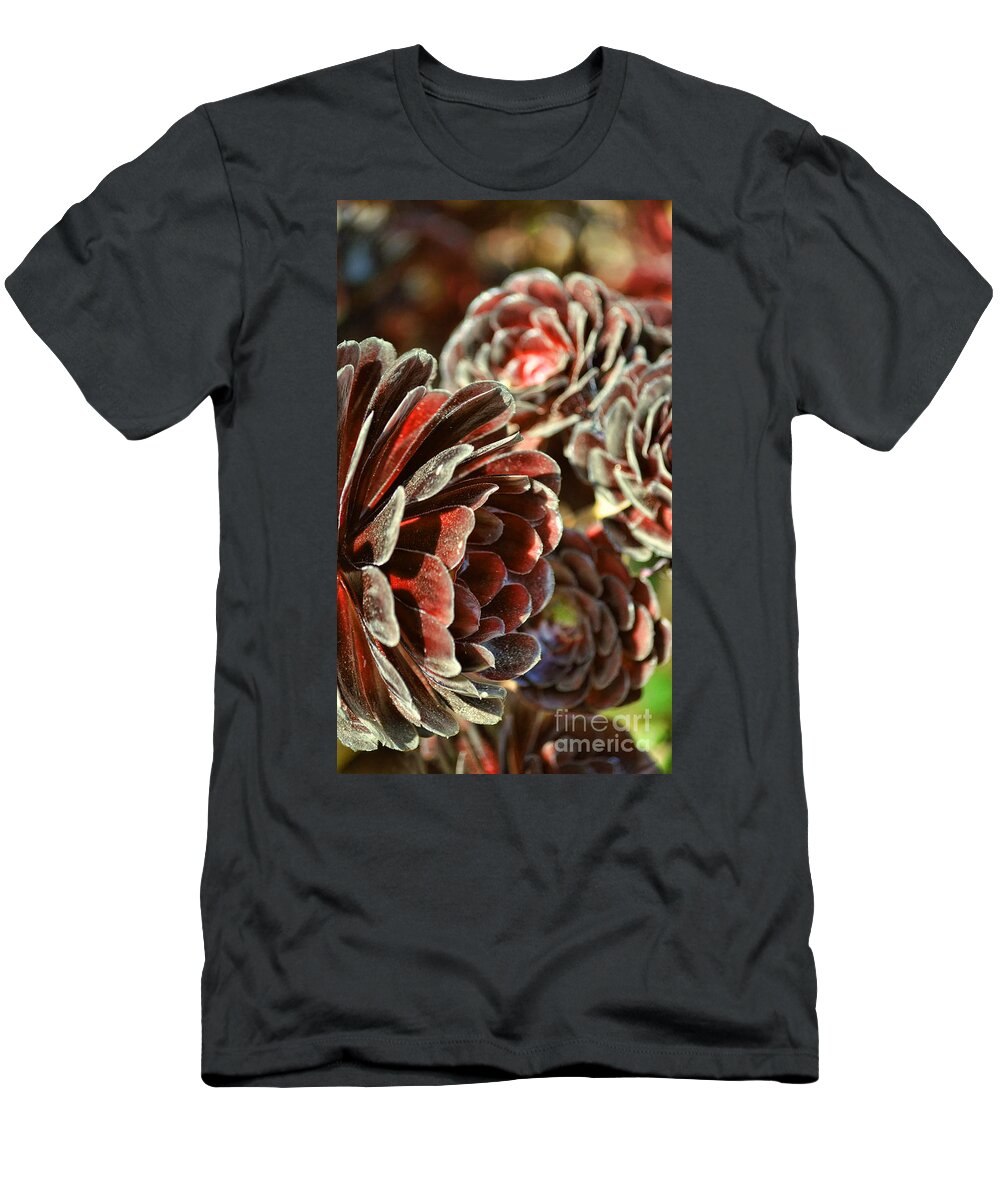 Aeonium T-Shirt featuring the photograph Aeonium by Jim Fitzpatrick