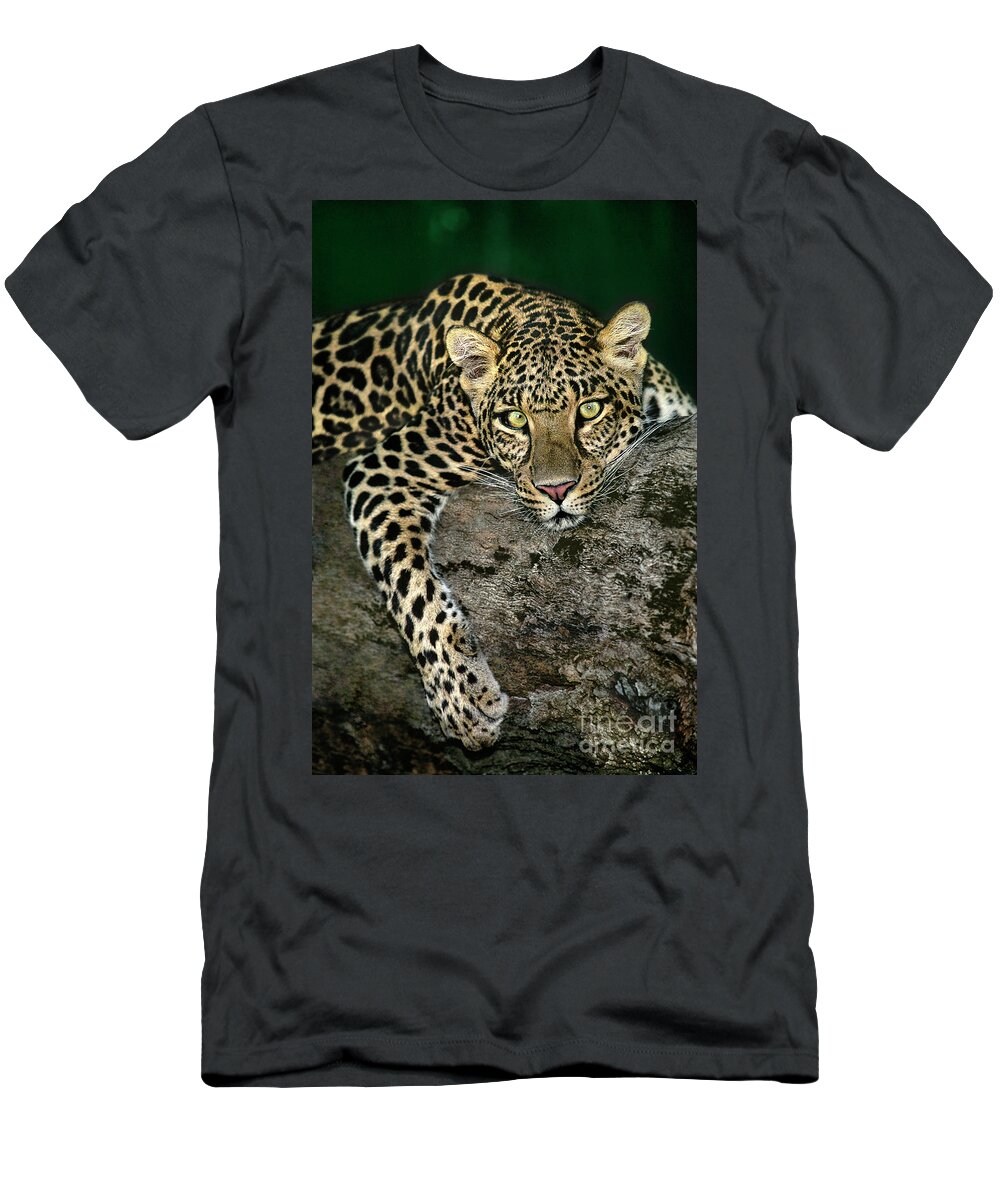 Dave Welling T-Shirt featuring the photograph African Leopard Panthera Pardus Wildlife Rescue by Dave Welling