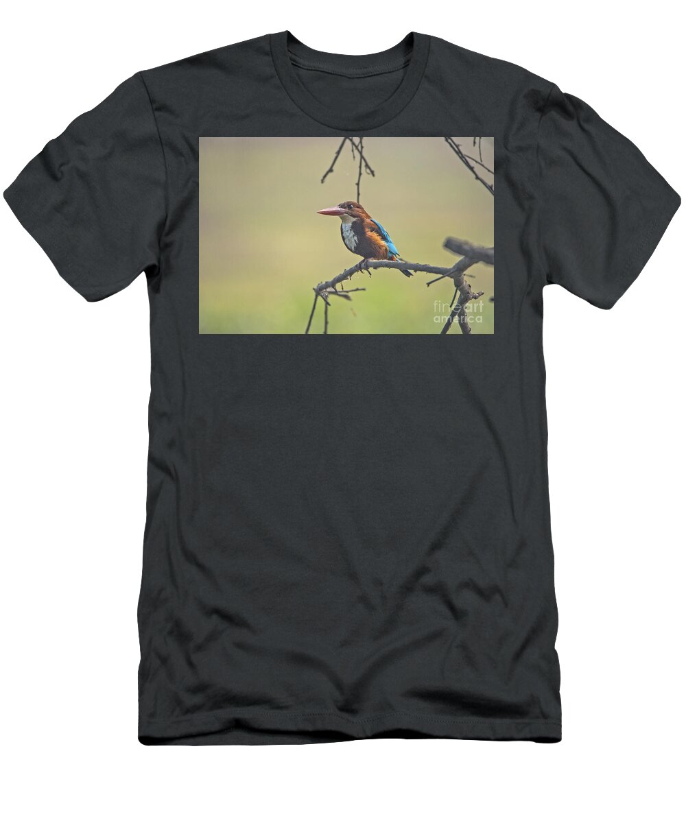 Bird T-Shirt featuring the photograph After a dive by Pravine Chester