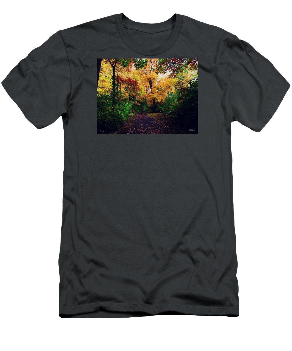 Woods T-Shirt featuring the photograph After Fall II by Devin Dixon