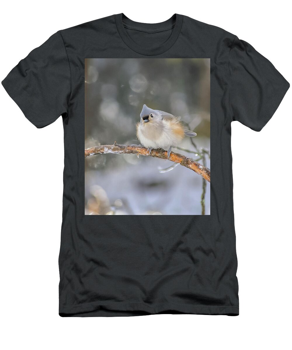 Ice T-Shirt featuring the photograph After the Ice Storm by Holly Ross