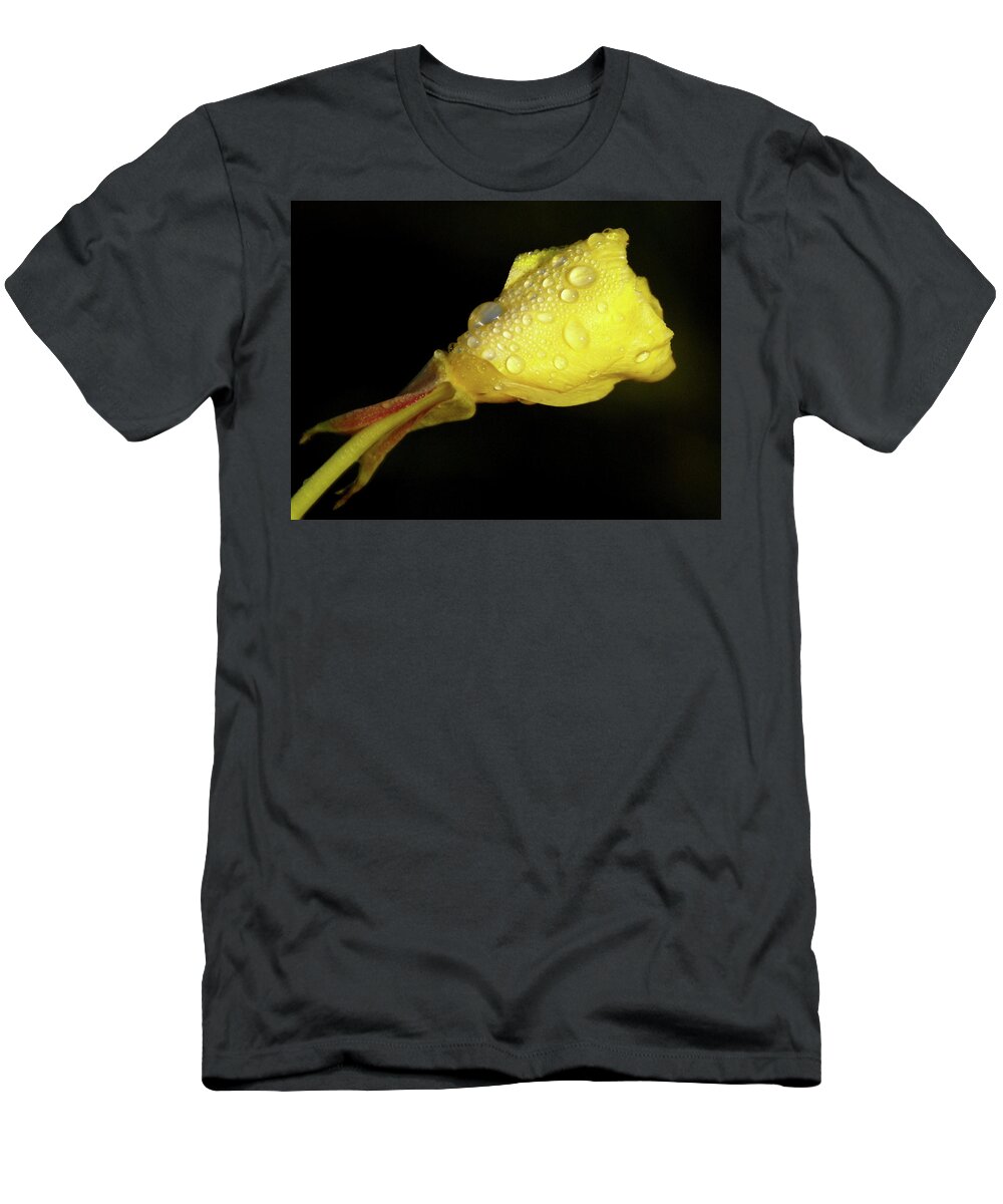 Wildflower T-Shirt featuring the photograph After The Rain by Linda Shafer