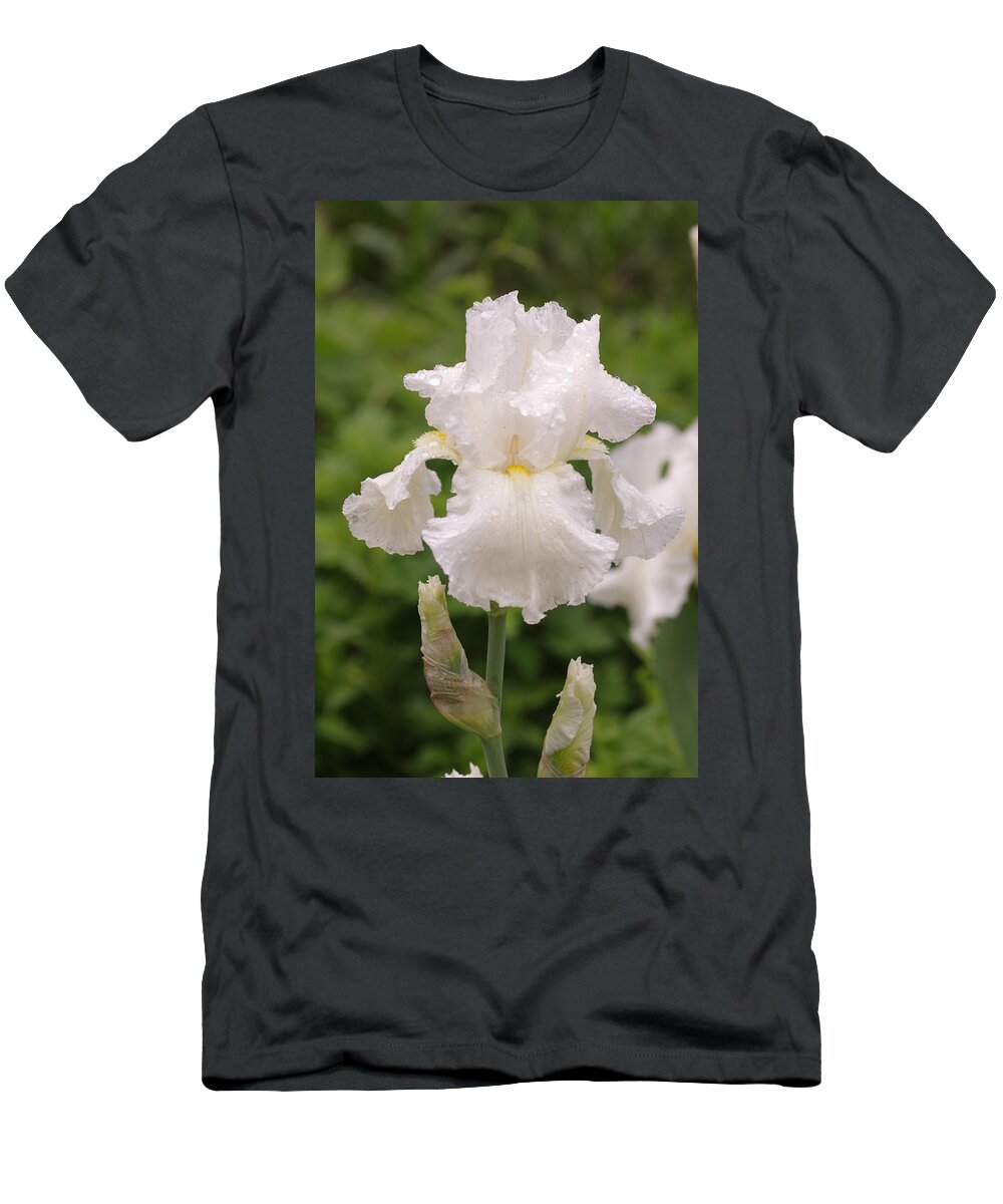 Rain T-Shirt featuring the photograph After the Storm by Greg Graham