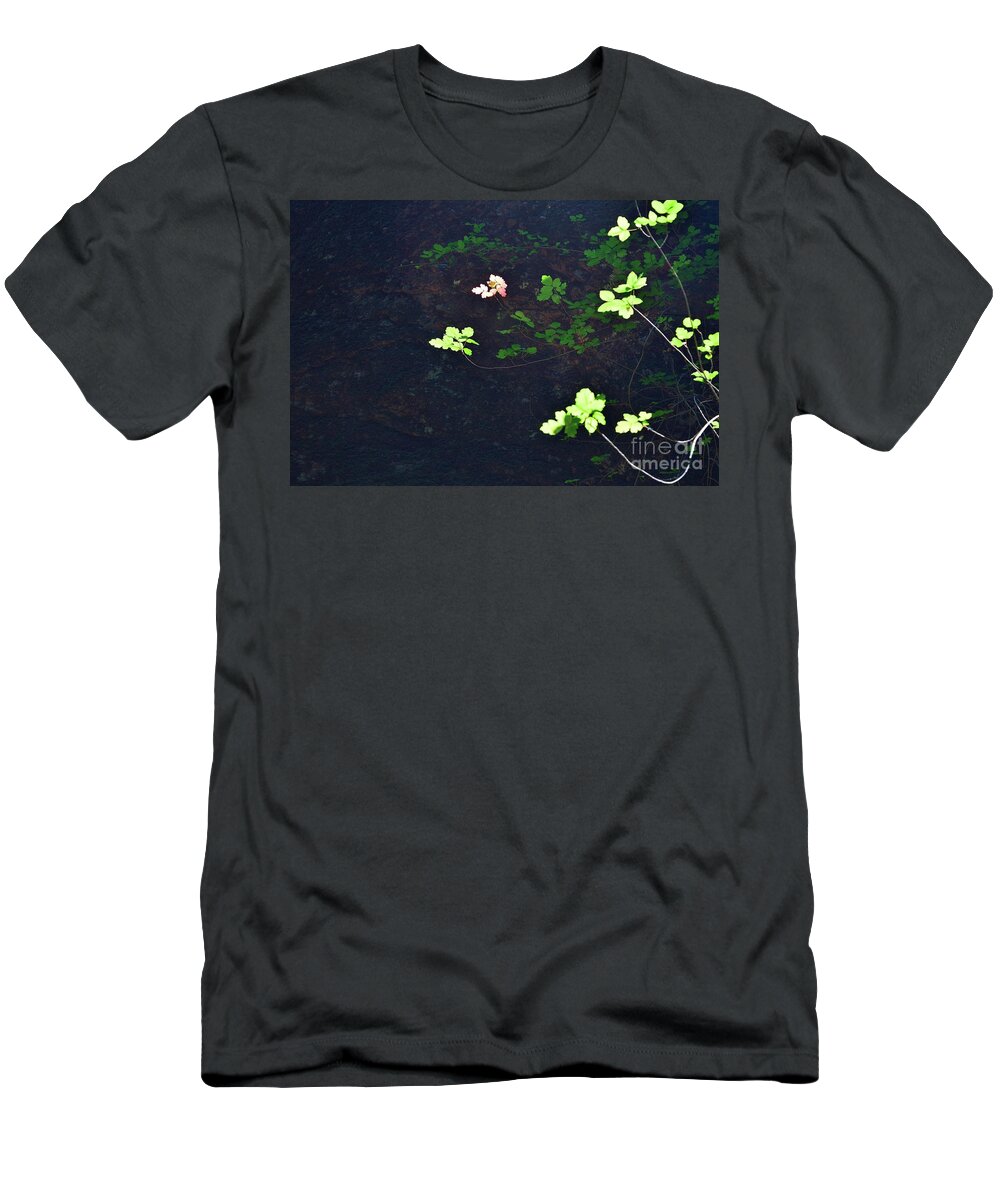 Pinnacles National Park T-Shirt featuring the photograph Afternoon light on Oak by Jeff Hubbard