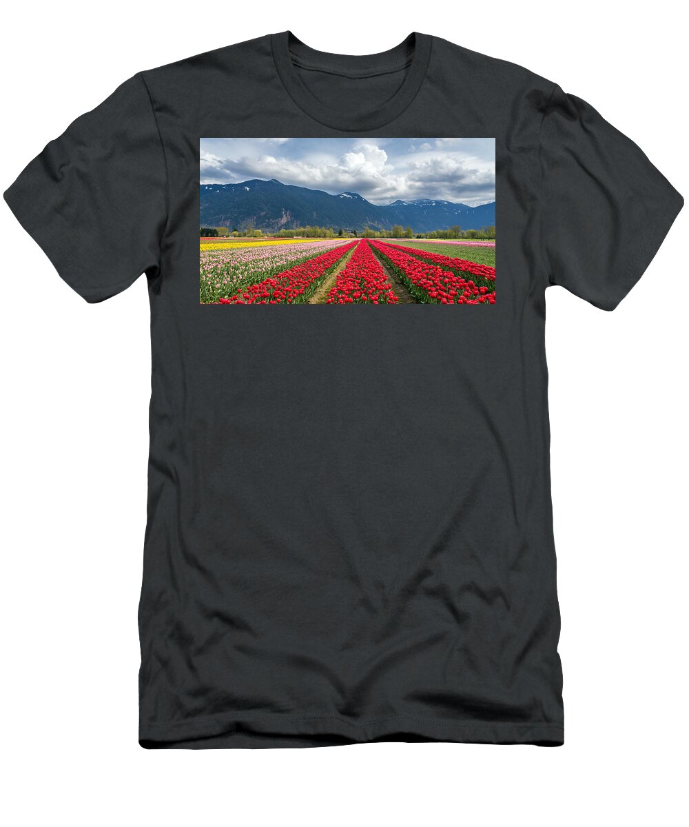 Agassiz T-Shirt featuring the photograph Agassiz tulip fields by Pierre Leclerc Photography