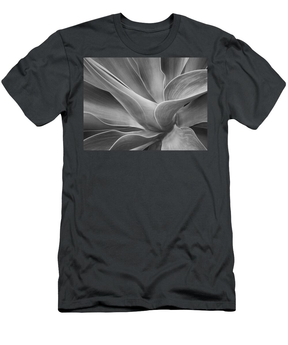 Agave T-Shirt featuring the photograph Agave Shadows and Light by Bel Menpes