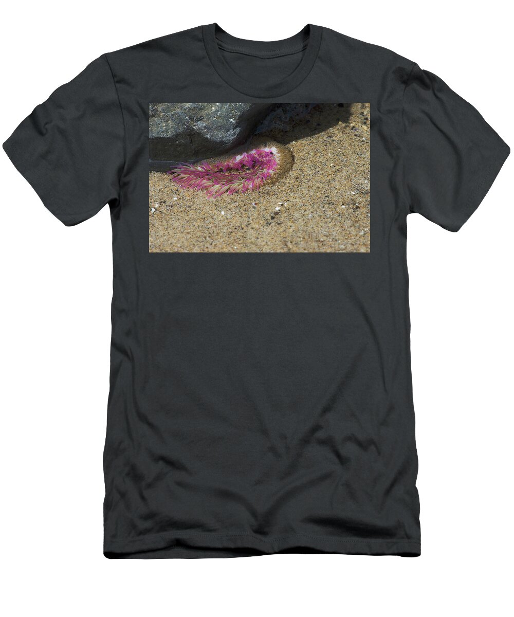 Tide Pool T-Shirt featuring the photograph Aggregating Anemone by Jim Zablotny