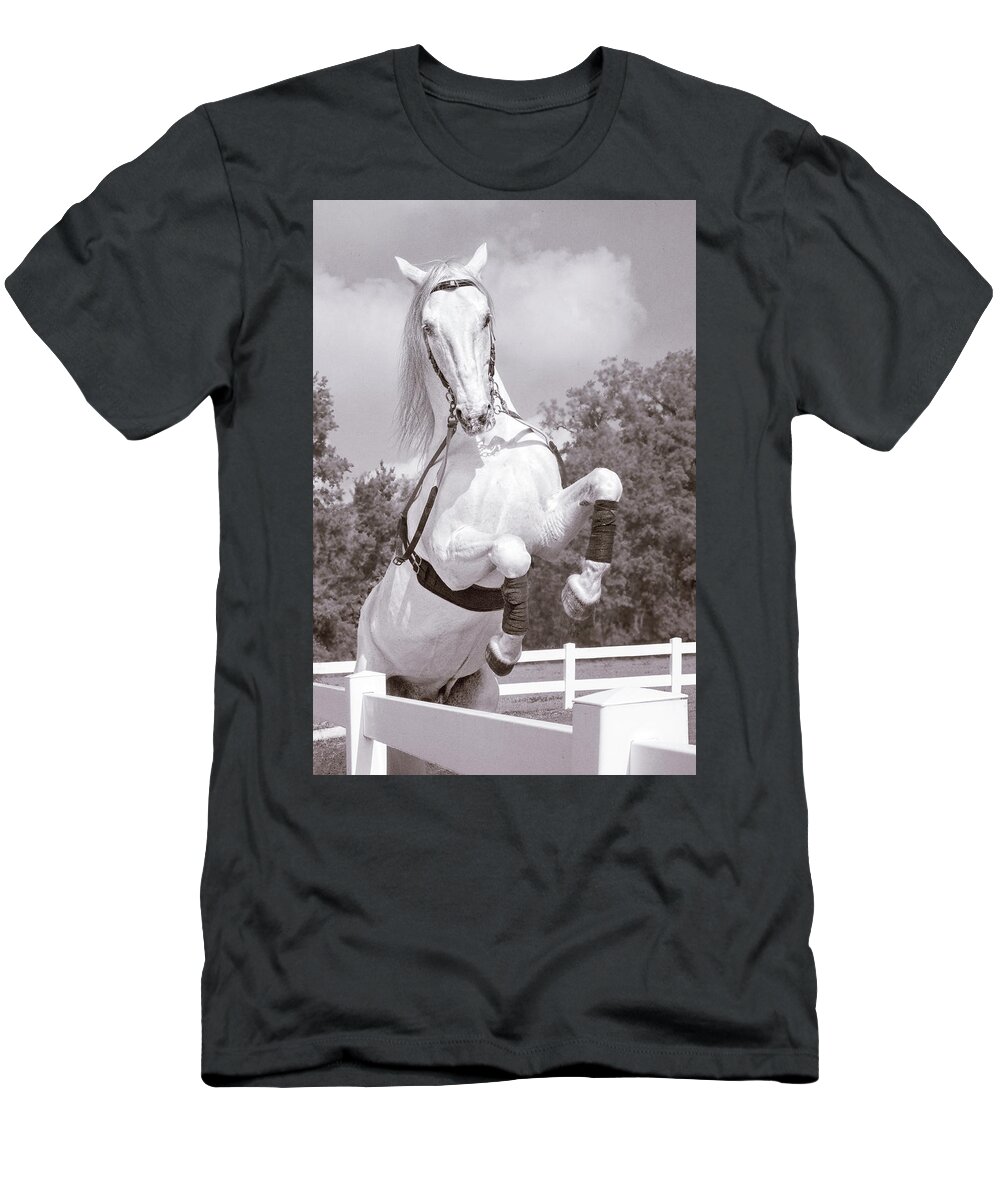 Horse T-Shirt featuring the photograph Airs Above the Ground - Lipizzan Stallion Rearing by Mitch Spence