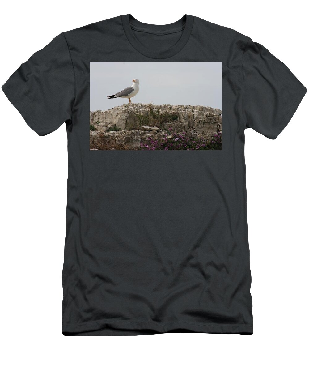 Albatross T-Shirt featuring the photograph Albatross2, Sile by Yesim Tetik