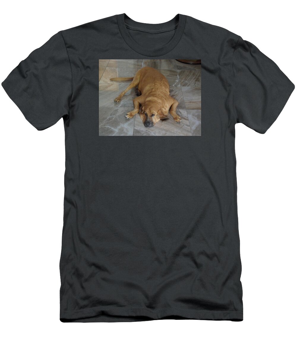 Bloodhound T-Shirt featuring the photograph All Pooped Out by Val Oconnor