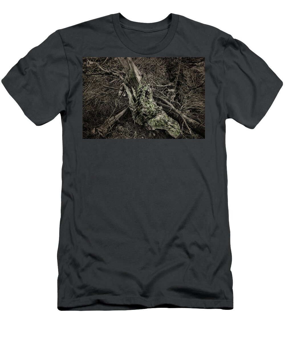 Tree Limb T-Shirt featuring the photograph All That Remains by Sue Capuano
