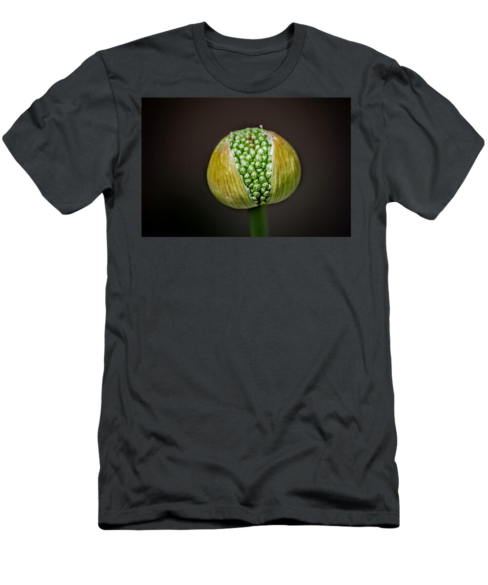 Allium T-Shirt featuring the photograph Allium Bud by Michael Brungardt