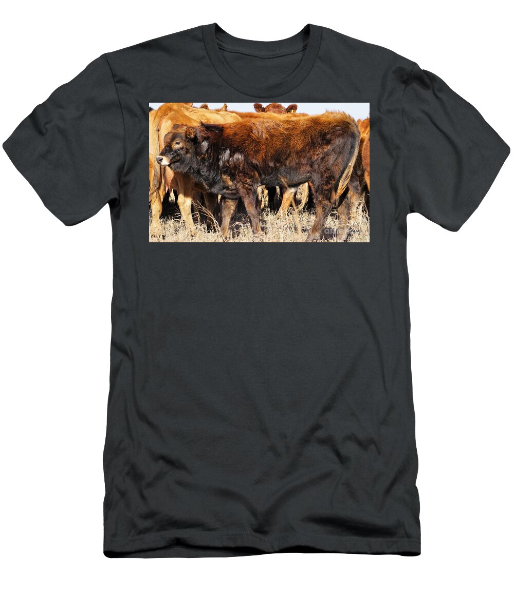 Calf T-Shirt featuring the photograph Almost as Tall by Merle Grenz