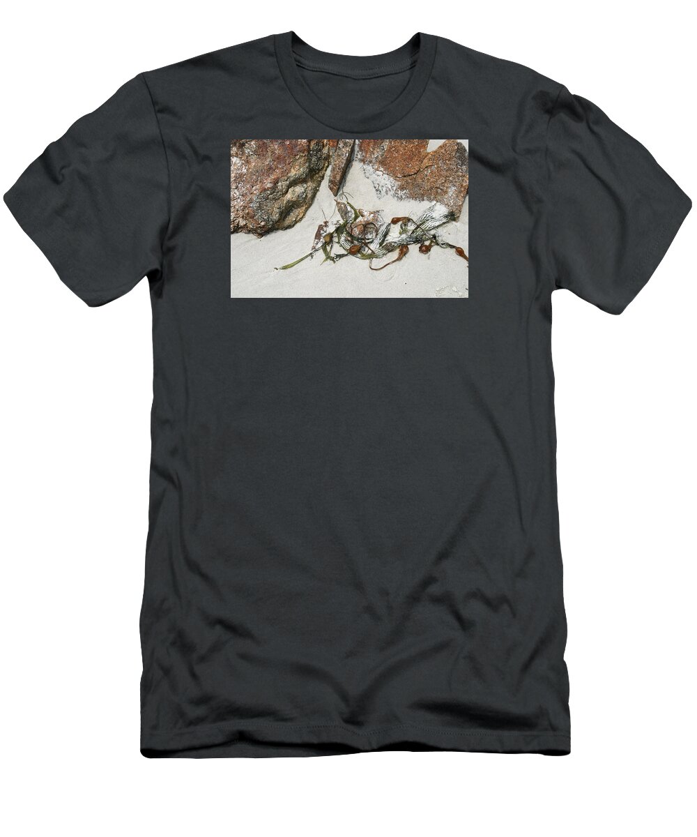 Beach T-Shirt featuring the photograph Along the Rocks by Kathleen Grace