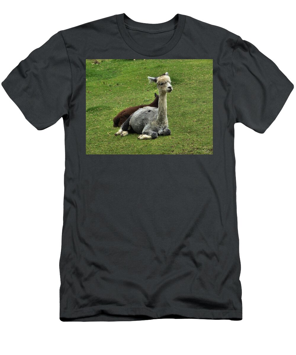 Portrait T-Shirt featuring the photograph Alpacas by Michael Blaine