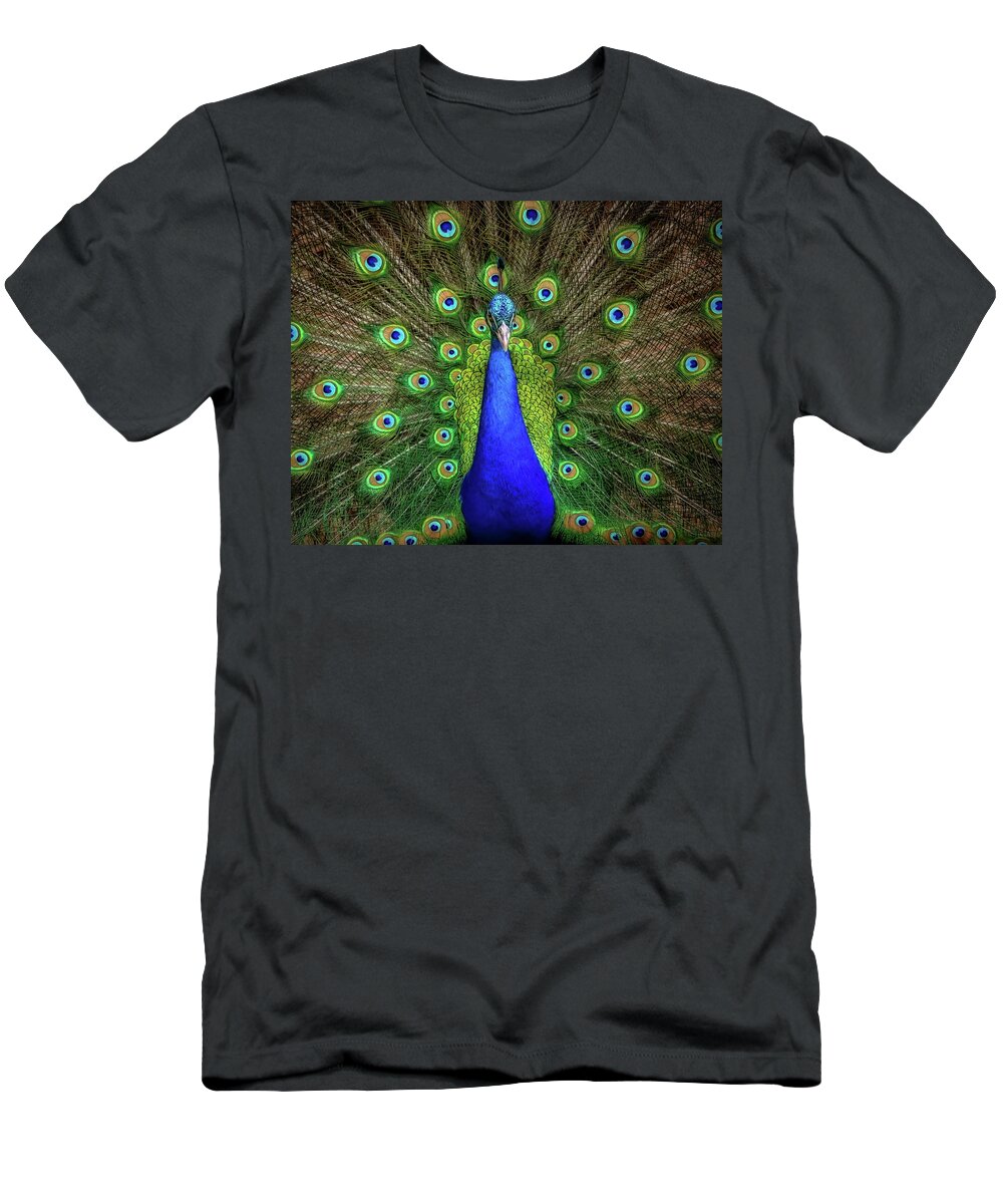 Peacocks T-Shirt featuring the photograph Always Colorful by Elaine Malott