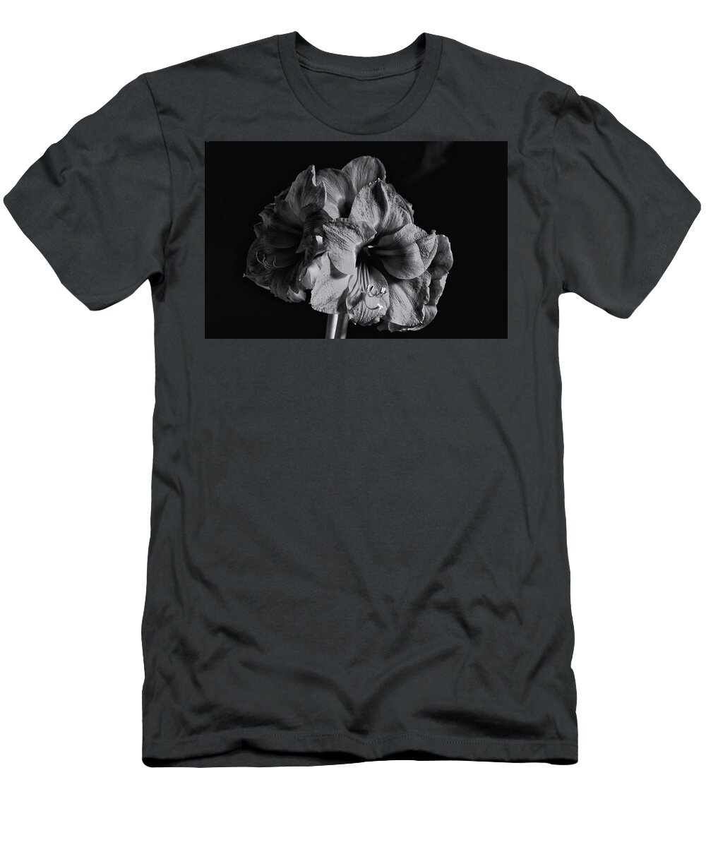 Amaryllis T-Shirt featuring the photograph Amaryllis Monochrome by Jeff Townsend