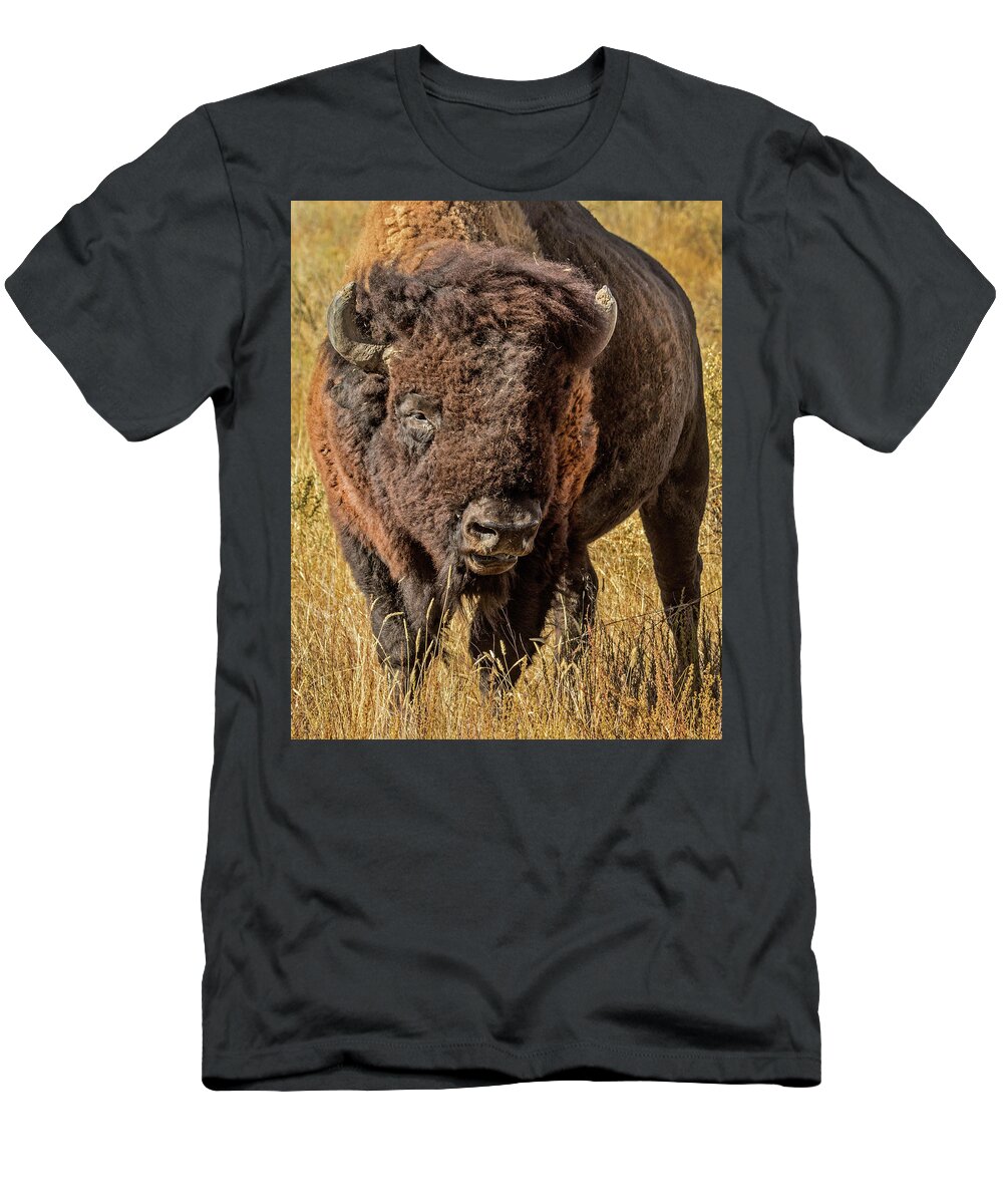 American Bison T-Shirt featuring the photograph American Bison by Dawn Key