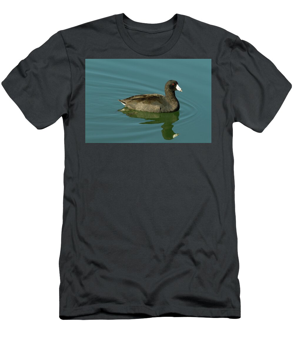 Coot T-Shirt featuring the photograph American Coot by Paul Rebmann