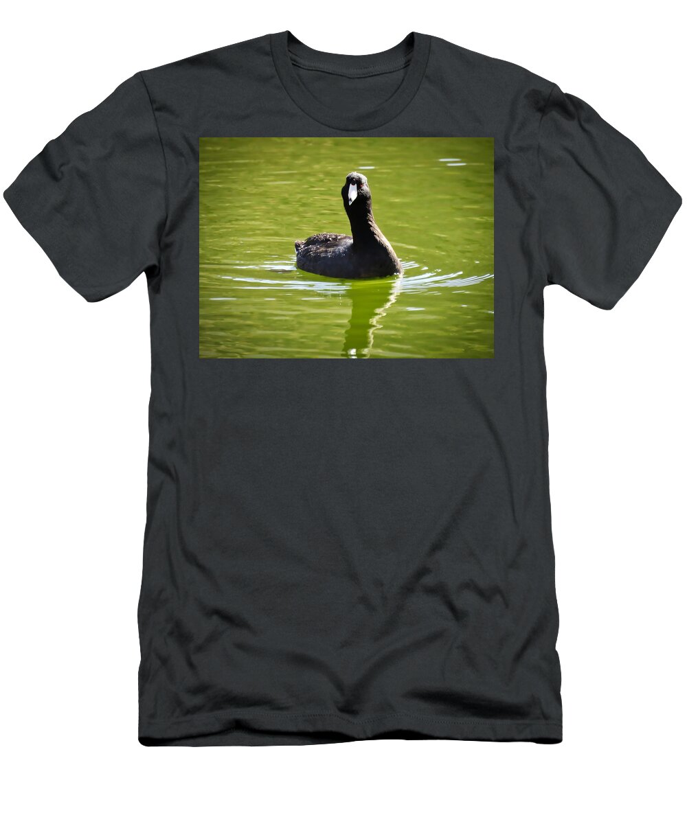 American Coot T-Shirt featuring the photograph American Coot Portrait by Judy Kennedy