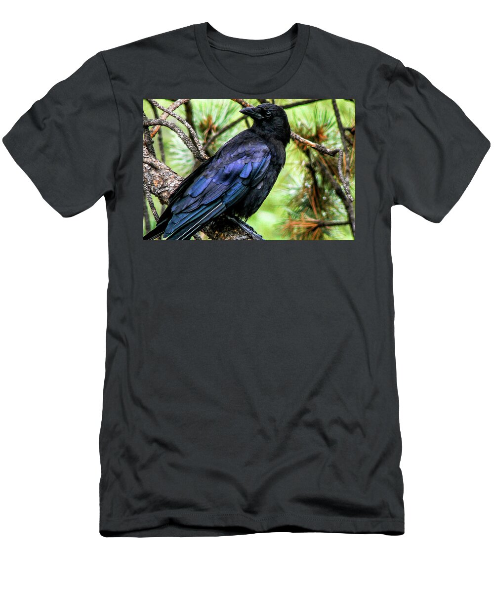 Colorado T-Shirt featuring the photograph American Crow by Marilyn Burton