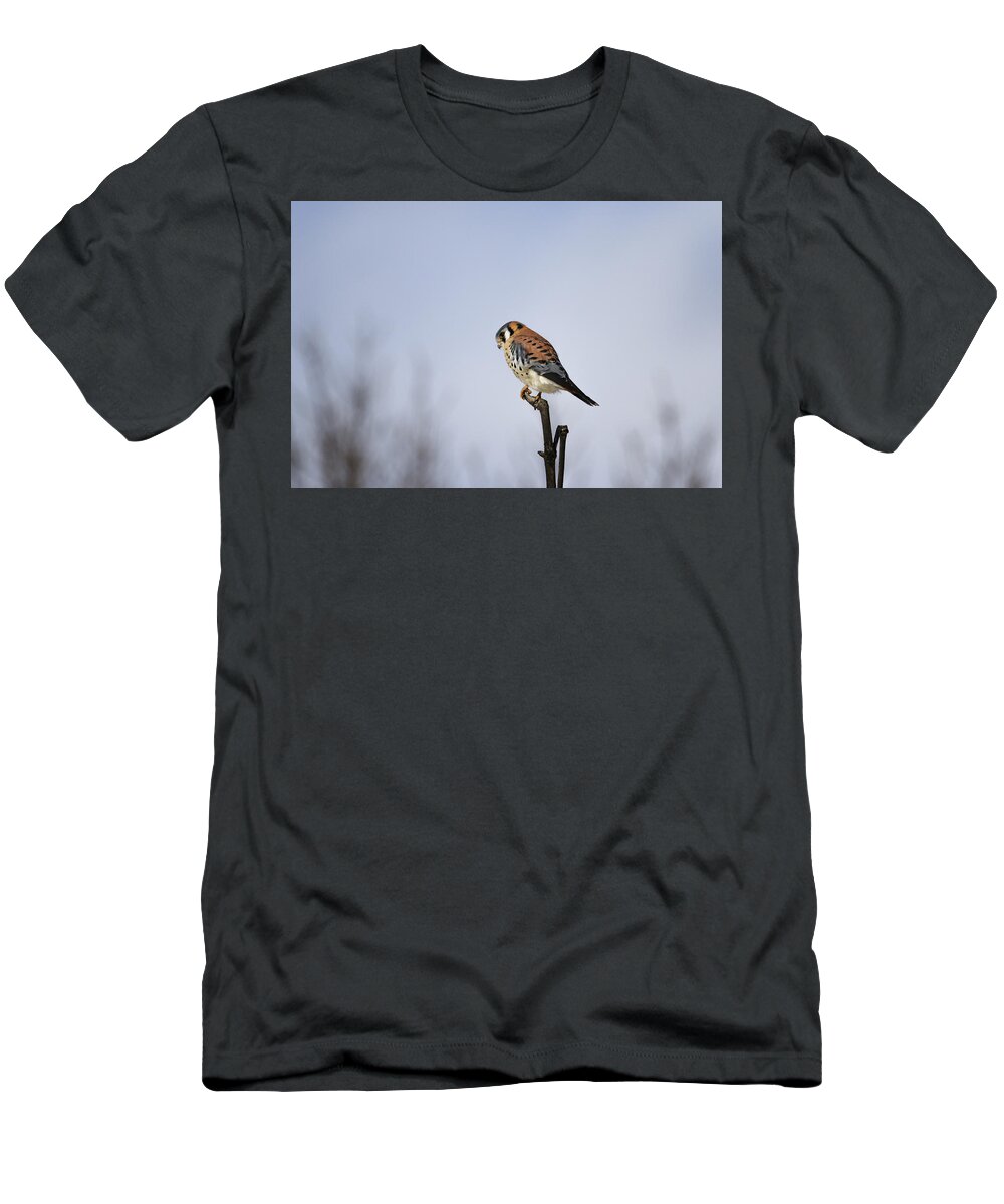 Gary Hall T-Shirt featuring the photograph American Kestrel 2 by Gary Hall