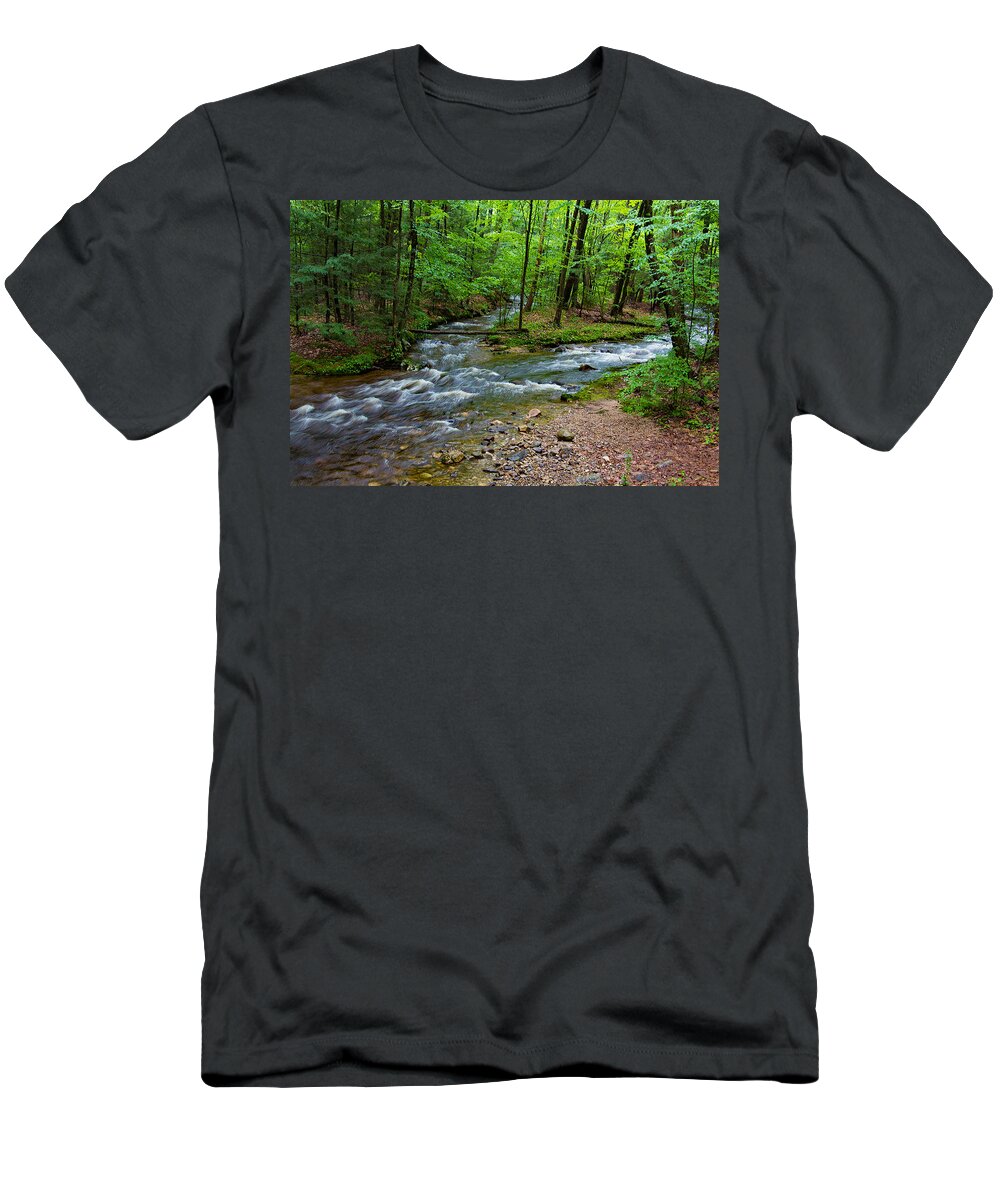 Nature T-Shirt featuring the photograph Amethyst Brook in Amherst MA by Richard Goldman