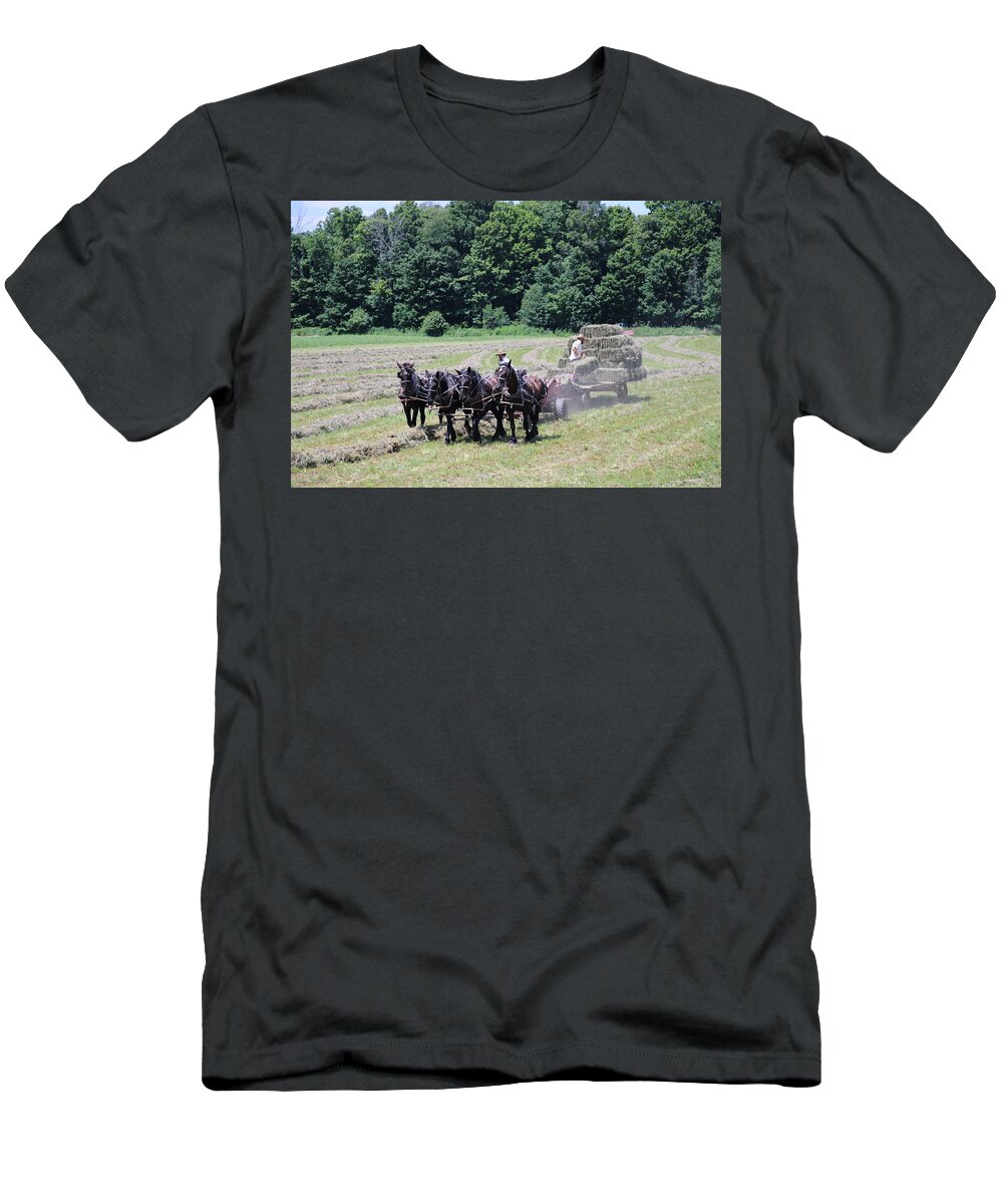Horses T-Shirt featuring the photograph Amish Hay Harvest by Rick Redman