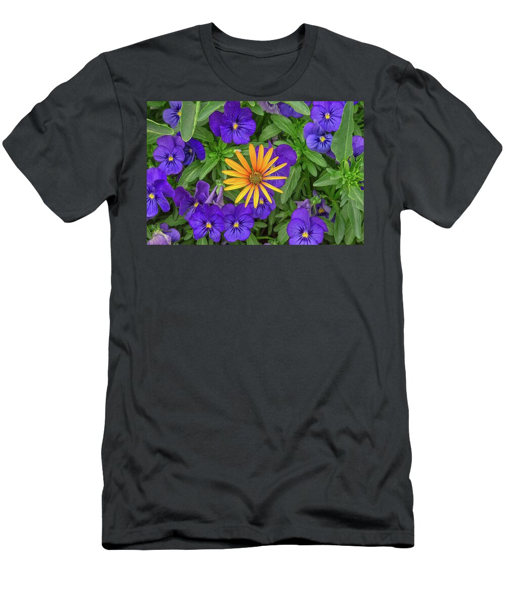 Flower T-Shirt featuring the photograph An Aureole Of Sublime Beauty by Bijan Pirnia